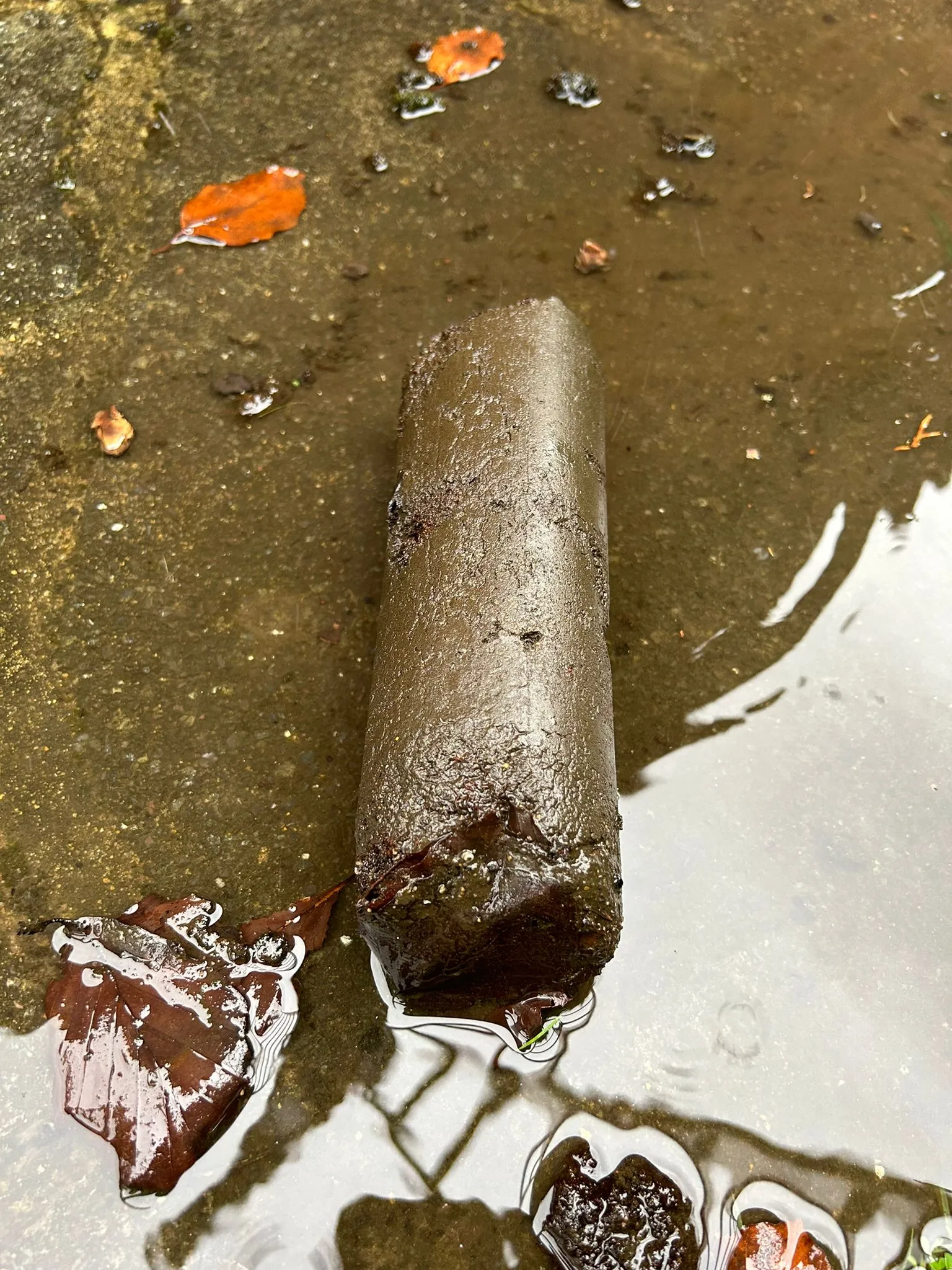 A piece of wood sitting in a puddle of water.
